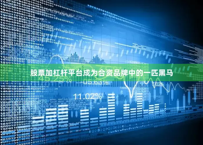 股票加杠杆平台成为合资品牌中的一匹黑马