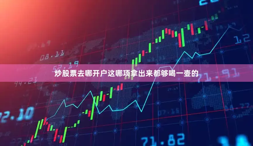炒股票去哪开户这哪项拿出来都够喝一壶的