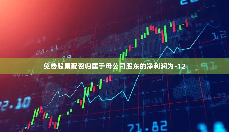 免费股票配资归属于母公司股东的净利润为-12